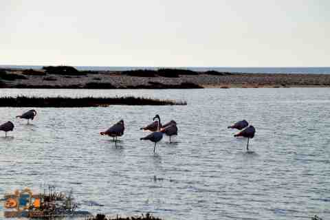 Escursioni Sardegna in fuoristrada