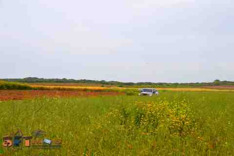 Tour off road Sardegna fuori traccia 