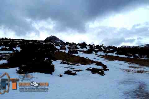 tour quad ssv Sardegna