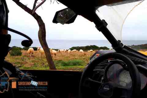 tour quad ssv Sardegna