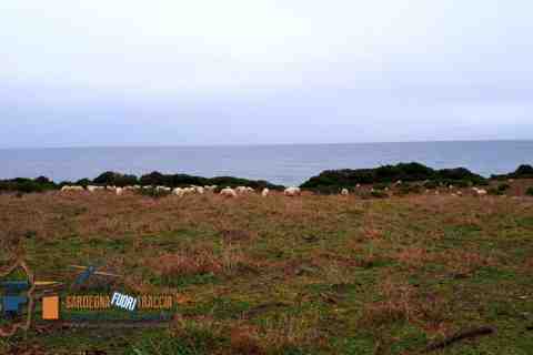 tour quad ssv Sardegna