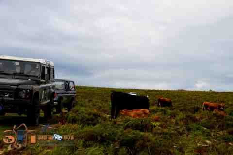Tour off road Sardegna