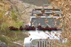 Tour Fuoristrada Sardegna dei 2 Mari offroad 2017