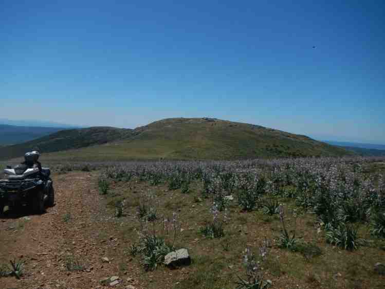Panorami centro Sardegna