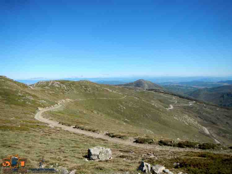 Bruncuspina