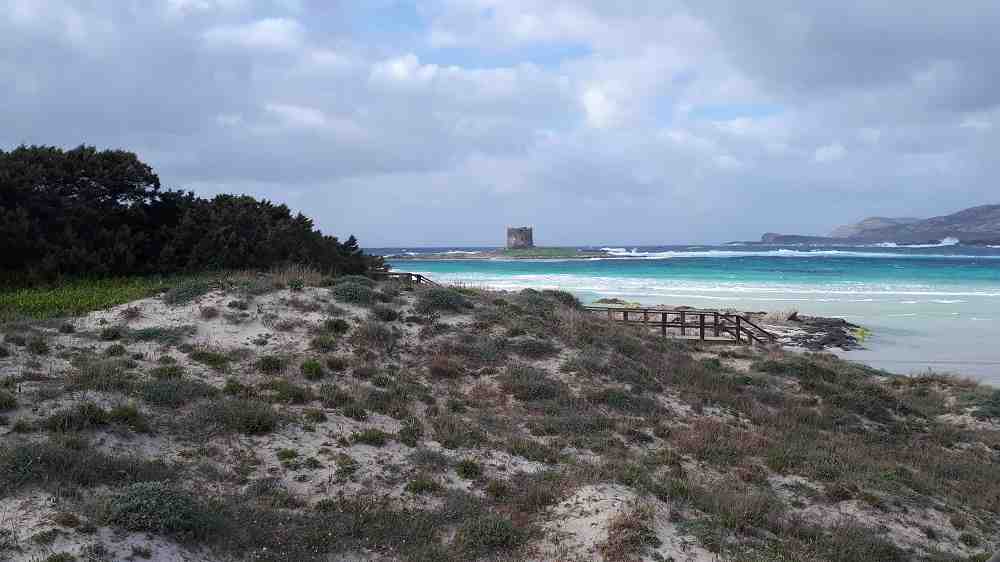 Sardegna in fuoristrada